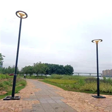 Round Solar Street Light